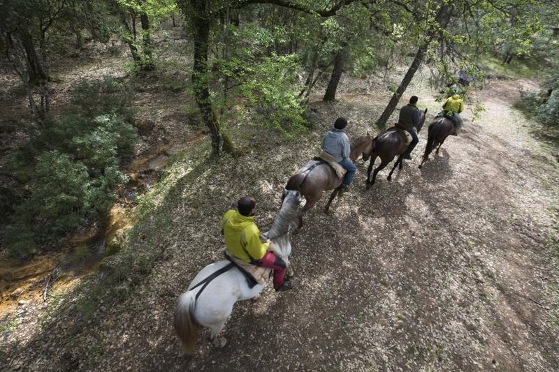 caballo