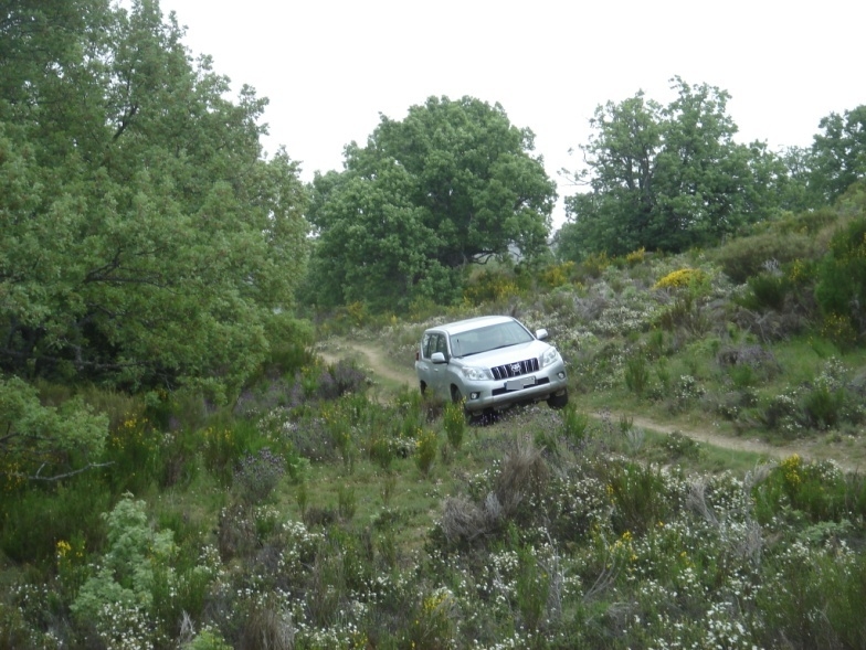 coche 4x4